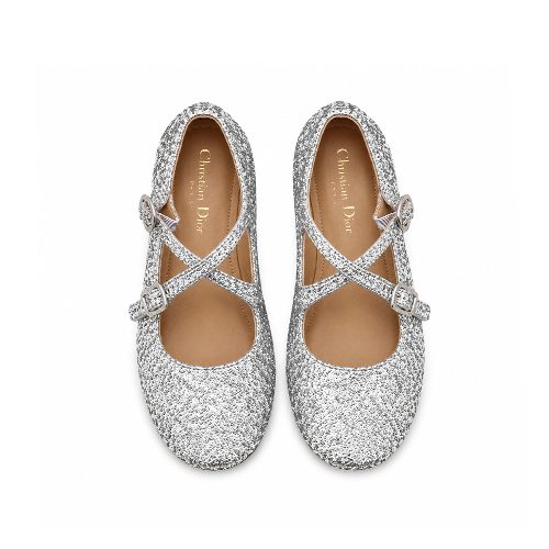 Dior Silver Crystal Mary