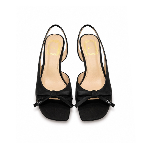 Dior Paris Noir Heel – B